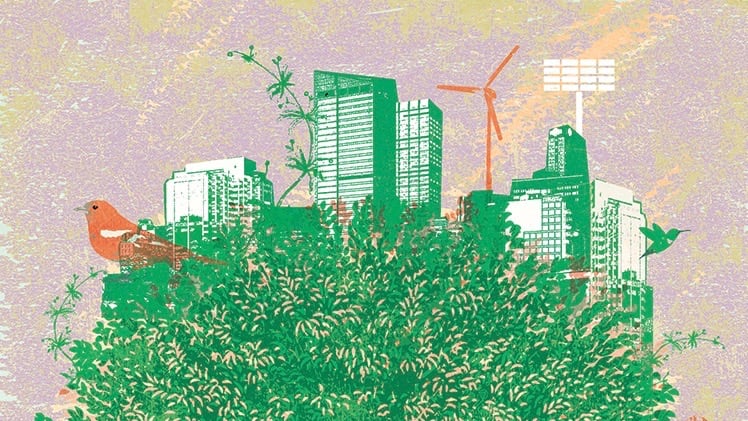 Le Revenu de Transition Ecologique, une solution pour faire des acteurs locaux les moteurs de la transition
