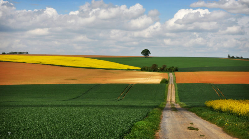 Pour un foncier agricole plus accessible