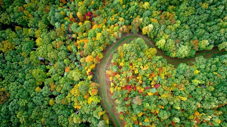 Le Plan d&rsquo;Epargne Avenir Climat (PEAC), le placement en faveur de la transition écologique…