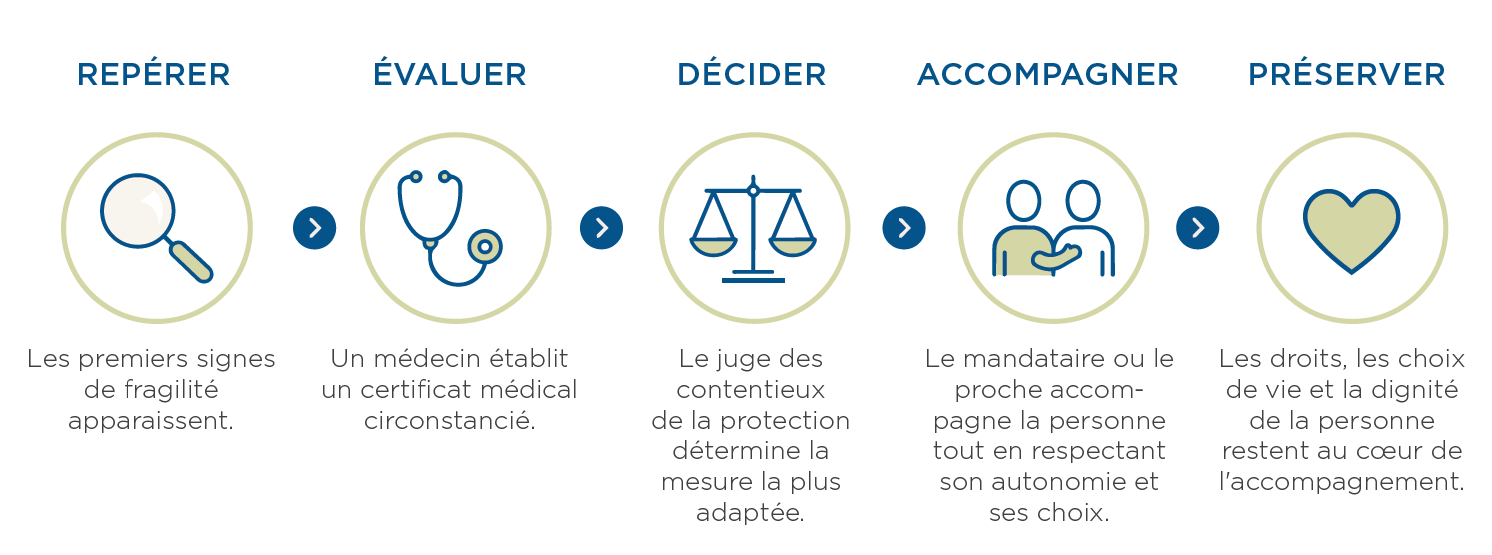 Schéma des 5 étapes de la protection juridique d'un majeur vulnérable : repérer, évaluer, décider, accompagner, préserver